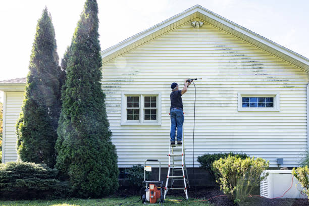 Best Gutter Cleaning  in Rose Hill, NC
